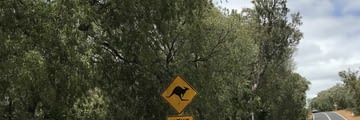 Roadtrip en Australie