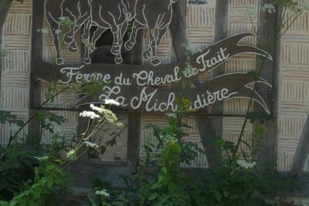 J2- Une journée équestre