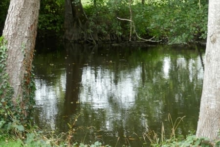 Circuit voiture au départ du camping