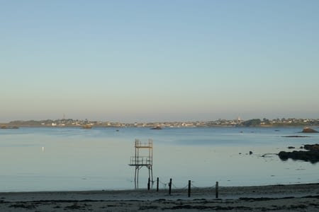 4è JOUR DE SOINS... DES ECAILLES ME POUSSENT DANS LE DOS ET LES BRANCHIES NE SONT PAS LOIN
