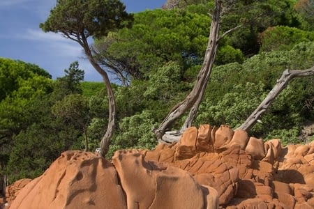 Jour 3: Saint-Florent - Algajola