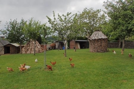 4. De Tessy-Bocage à Vire