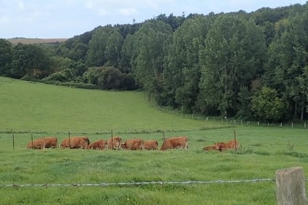 74. De Saint-Valery-en-Caux à Saint-Léonard