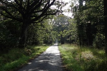 84. De Versailles à Rambouillet.