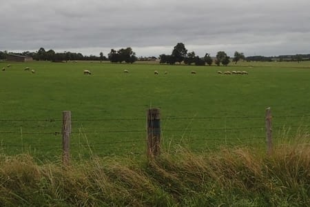 88. De Le-Mêle-sur-Sarthe à Sées