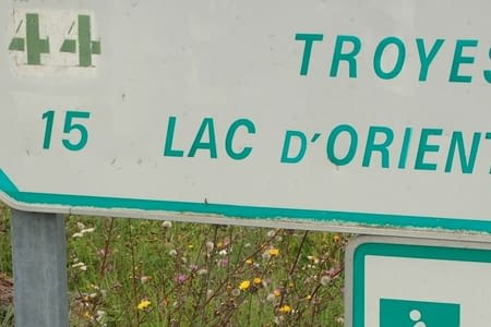 13.08 - 34 - Lac du Der - Lac de la Forêt d'Orient