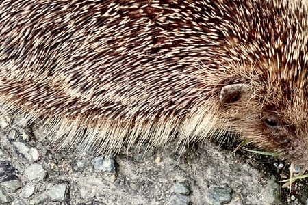 25.08 - 42 - Guise - Tergnier