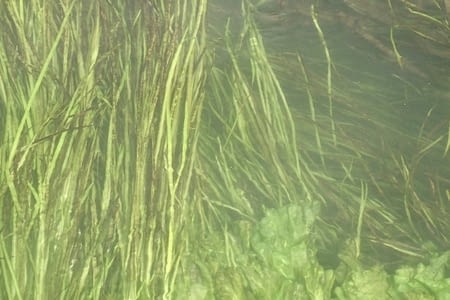 28.08 - 45 - Amiens - Mareuil-Caubert