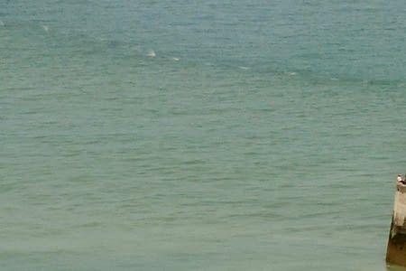 29.08 - 46 - Mareuil-Caubert - Touffreville-sur-Eu