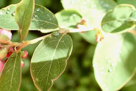 14-an de Julio - 14 juillet - 20 - Ramdala - Vassmolösa