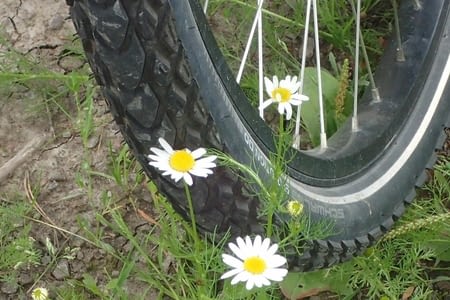 22-an de Julio - 22 juillet - 26 - Västervik - Gamleby