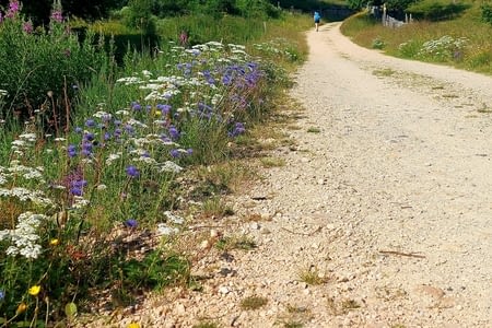 -> St-Alban-sur-Limagnole