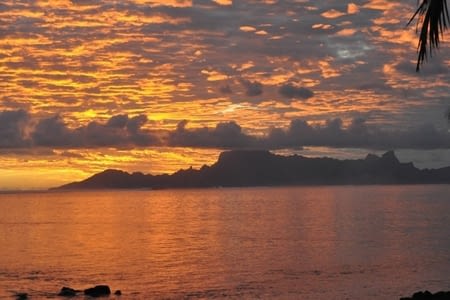 Nos debut en polynesie