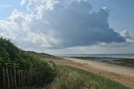 Tour de l'Île de Ré à vélo