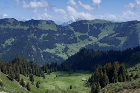 Etape 2 : Alpage De Chevenne - Chésery