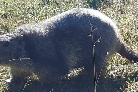 Etape 18 : Larche - Bousiéyas