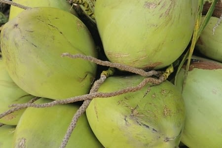 Jour 7 : plage de boucan canot, la maison du coco et le cirque de cilaos