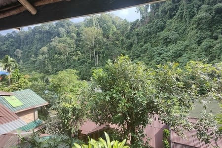 Jour 3 : trajet en voiture et arrivée à Bukit Lawang