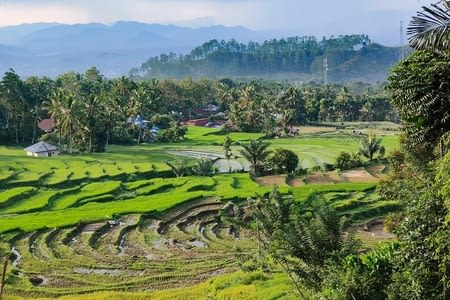 Jour 12 : vallée d'Harau