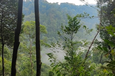 Jour 18 : arrivée en France et bilan