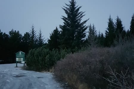 JOUR 4 : KERID -GEYSIR-GULFOSS -THINGVELLIR - AKRANES