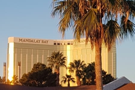Jour 2 : visite des hôtels de Las Vegas