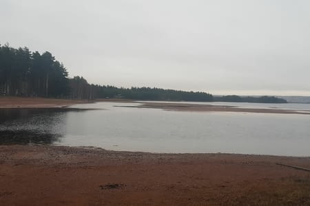 JOUR 6 : BJORN PARK ET ROUTE VERS STOCKHOLM