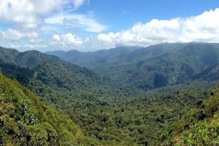 Santa Elena - Monteverde