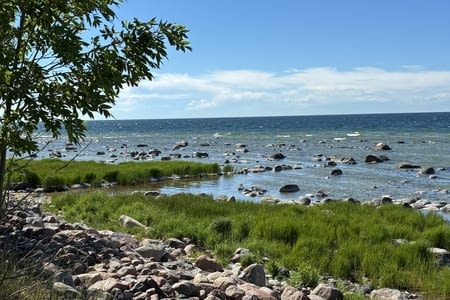 Gotland la méditante