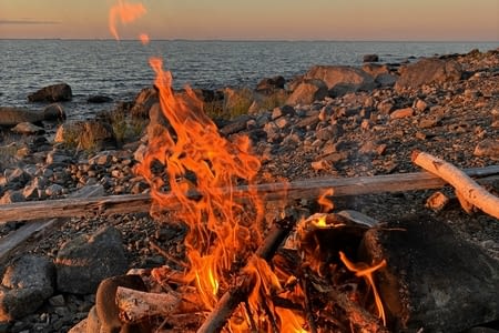 À la recherche du Midsommar