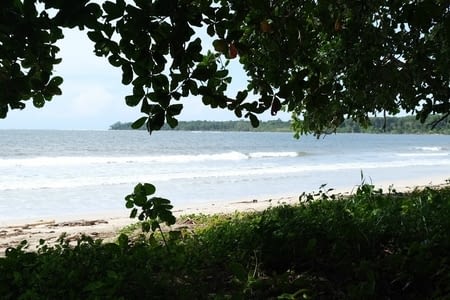 Découverte de la côte sud caraïbe : Cahuita !