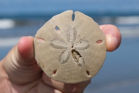Uvita - Bahia Ballena : au pays des baleines