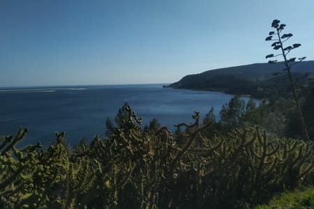 De Ericeira à Setubal