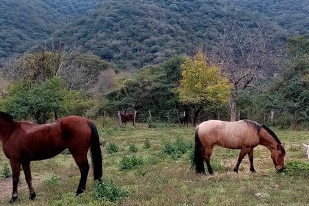 Reprise de l'aventure à cheval : Los Sauces, Finca Torino, El Espinal