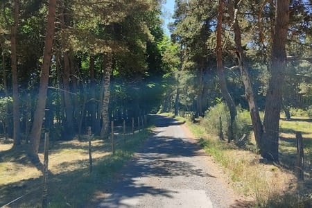 Jour 5 : St Alban / Limagnole- Les 4 chemins