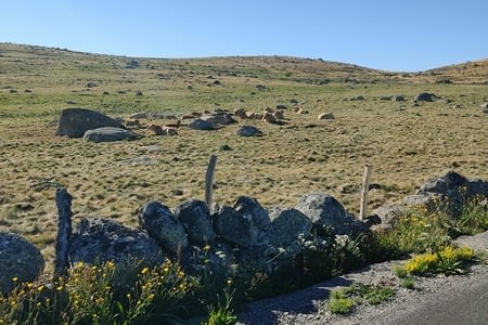 Jour 6 : Les 4 chemins- Saint Chely d'Aubrac