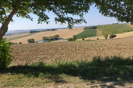 Jour 20 : Bardigues- Tarissan