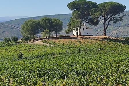 Jour 50 : Ponferrada- Trabadelo