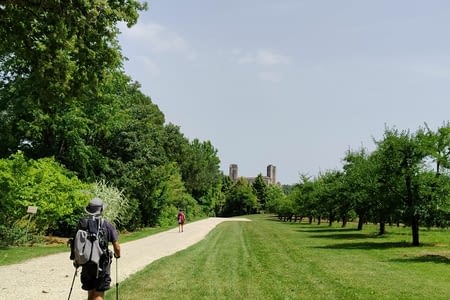 J15 : De Lectoure à La Romieu