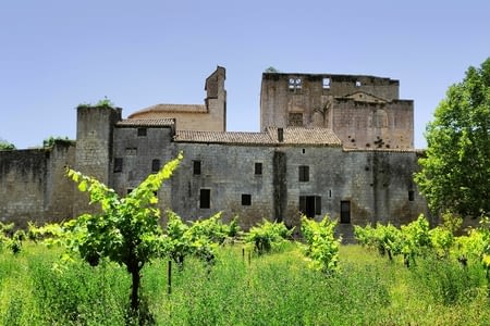 J16 : De La Romieu à Larresingle