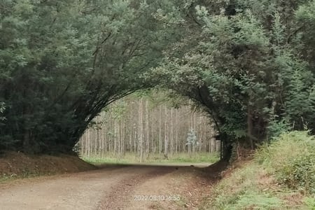 J71 : De Fisterra à Santiago par la bus et Santiago à O Outeiro à pieds