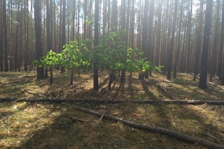 Jour 25 - Route allemagne