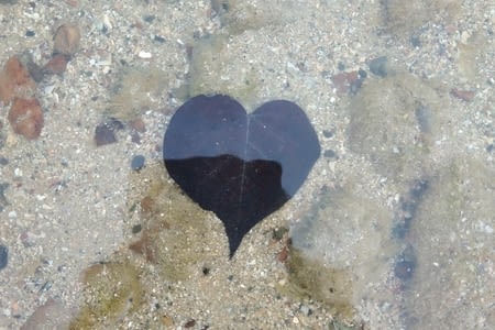 Mariage Evelyne et Nicolas