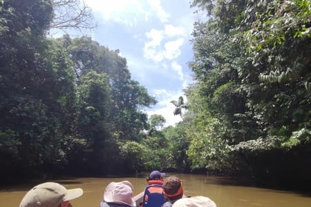 Oriente - Dia 3 - Amazonie