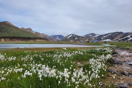 Jour 2 - Landmannalaugar