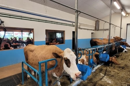 Jour 9 - Vogafjós Farm Resort