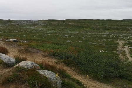 21ème jour: De Bodö à Mo I Rana en repassant par le cercle polaire - 66°33'N