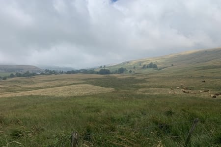 Escapade en Mongolie