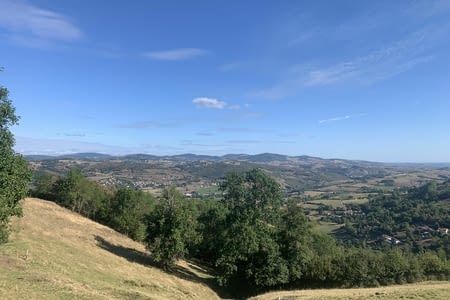 Lyon et ses monts et ses démons et sa fée !