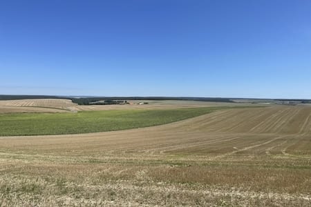 Des céréales des céréales